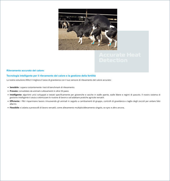 Rilevamento accurato del calore: Tecnologia intelligente per il rilevamento del calore e la gestione della fertilità La nostra soluzione AfiAct II migliora il tasso di gravidanza con il suo sensore di rilevamento del calore accurato:  •	Sensibile : supera costantemente i test di benchmark di rilevamento. •	Provato: convalidato da animali e allevamenti in oltre 50 paesi. •	Intelligente: algoritmi unici sviluppati e testati specificamente per giovenche e vacche in stalle aperte, stalle libere e regimi di pascolo. Il nostro sistema di gestione intelligente ti aiuta a ottimizzare le routine di lavoro e ad adattare pratiche agricole versatili. •	Efficiente: i filtri risparmiano lavoro rimuovendo gli animali in seguito a cambiamenti di gruppo, controlli di gravidanza e taglio degli zoccoli per evitare falsi allarmi. •	Flessibile: si adatta a protocolli di lavoro versatili, come allevamento multiplo/allevamento singolo, ov-sync e altro ancora..