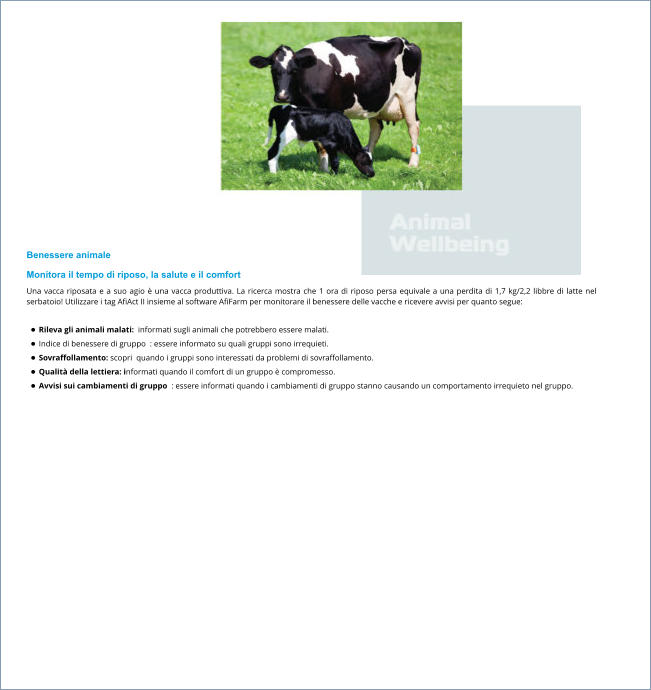 Benessere animale Monitora il tempo di riposo, la salute e il comfort Una vacca riposata e a suo agio è una vacca produttiva. La ricerca mostra che 1 ora di riposo persa equivale a una perdita di 1,7 kg/2,2 libbre di latte nel serbatoio! Utilizzare i tag AfiAct II insieme al software AfiFarm per monitorare il benessere delle vacche e ricevere avvisi per quanto segue:  •	Rileva gli animali malati:  informati sugli animali che potrebbero essere malati. •	Indice di benessere di gruppo  : essere informato su quali gruppi sono irrequieti. •	Sovraffollamento: scopri  quando i gruppi sono interessati da problemi di sovraffollamento. •	Qualità della lettiera: informati quando il comfort di un gruppo è compromesso. •	Avvisi sui cambiamenti di gruppo  : essere informati quando i cambiamenti di gruppo stanno causando un comportamento irrequieto nel gruppo.