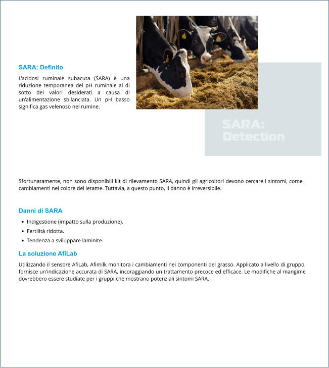 Sfortunatamente, non sono disponibili kit di rilevamento SARA, quindi gli agricoltori devono cercare i sintomi, come i cambiamenti nel colore del letame. Tuttavia, a questo punto, il danno è irreversibile.  Danni di SARA •	Indigestione (impatto sulla produzione). •	Fertilità ridotta. •	Tendenza a sviluppare laminite. La soluzione AfiLab Utilizzando il sensore AfiLab, Afimilk monitora i cambiamenti nei componenti del grasso. Applicato a livello di gruppo, fornisce un'indicazione accurata di SARA, incoraggiando un trattamento precoce ed efficace. Le modifiche al mangime dovrebbero essere studiate per i gruppi che mostrano potenziali sintomi SARA. SARA: Definito L'acidosi ruminale subacuta (SARA) è una riduzione temporanea del pH ruminale al di sotto dei valori desiderati a causa di un'alimentazione sbilanciata. Un pH basso significa gas velenoso nel rumine.