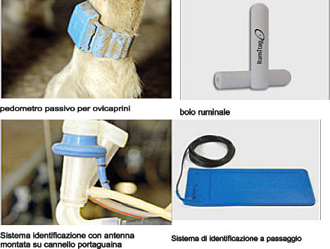 bolo ruminale pedometro passivo per ovicaprini Sistema di identificazione a passaggio Sistema identificazione con antenna montata su cannello portaguaina