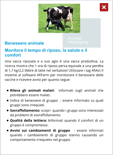 Benessere animale Monitora il tempo di riposo, la salute e il comfort Una vacca riposata e a suo agio è una vacca produttiva. La ricerca mostra che 1 ora di riposo persa equivale a una perdita di 1,7 kg/2,2 libbre di latte nel serbatoio! Utilizzare i tag AfiAct II insieme al software AfiFarm per monitorare il benessere delle vacche e ricevere avvisi per quanto segue:  •	Rileva gli animali malati:  informati sugli animali che potrebbero essere malati. •	Indice di benessere di gruppo  : essere informato su quali gruppi sono irrequieti. •	Sovraffollamento: scopri  quando i gruppi sono interessati da problemi di sovraffollamento. •	Qualità della lettiera: informati quando il comfort di un gruppo è compromesso. •	Avvisi sui cambiamenti di gruppo  : essere informati quando i cambiamenti di gruppo stanno causando un comportamento irrequieto nel gruppo.