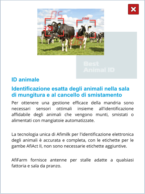 ID animale Identificazione esatta degli animali nella sala di mungitura e al cancello di smistamento Per ottenere una gestione efficace della mandria sono necessari sensori ottimali insieme all'identificazione affidabile degli animali che vengono munti, smistati o alimentati con mangiatoie automatizzate.  La tecnologia unica di Afimilk per l'identificazione elettronica degli animali è accurata e completa, con le etichette per le gambe AfiAct II, non sono necessarie etichette aggiuntive.  AfiFarm fornisce antenne per stalle adatte a qualsiasi fattoria e sala da pranzo.