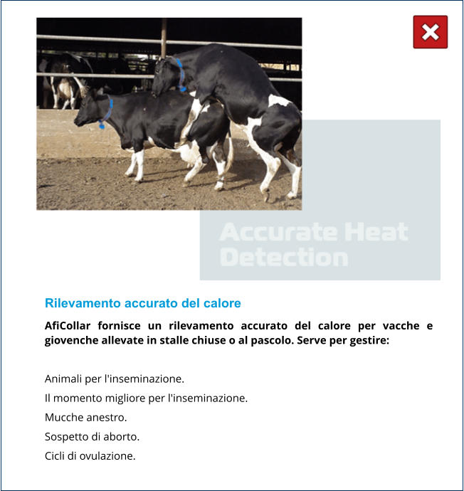 Rilevamento accurato del calore AfiCollar fornisce un rilevamento accurato del calore per vacche e giovenche allevate in stalle chiuse o al pascolo. Serve per gestire:  Animali per l'inseminazione. Il momento migliore per l'inseminazione. Mucche anestro. Sospetto di aborto. Cicli di ovulazione.