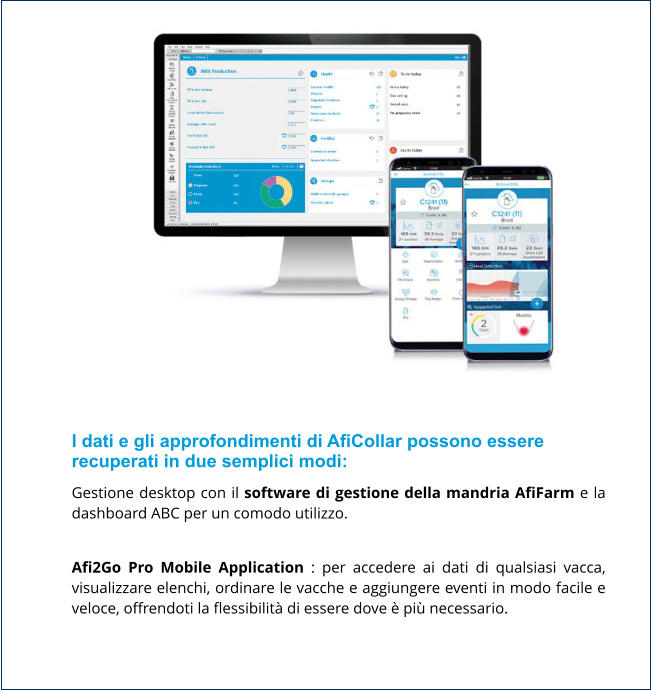 I dati e gli approfondimenti di AfiCollar possono essere recuperati in due semplici modi: Gestione desktop con il software di gestione della mandria AfiFarm e la dashboard ABC per un comodo utilizzo.  Afi2Go Pro Mobile Application : per accedere ai dati di qualsiasi vacca, visualizzare elenchi, ordinare le vacche e aggiungere eventi in modo facile e veloce, offrendoti la flessibilità di essere dove è più necessario.